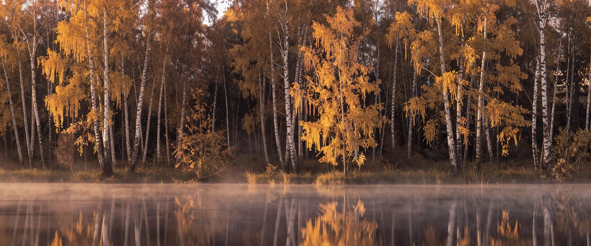 Belarusian countryside with birch forests and lakes at golden hour - romantic setting for Belarusian women dating